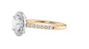 Round Halo Classic Diamond Band Engagement Ring