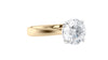 Round Solitaire Wide Band Diamond Engagement Ring
