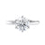 White gold 6 claw solitaire diamond engagement ring front view.