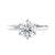Two carat six claw diamond engagement ring platinum on white background