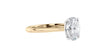 Oval Solitaire with Diamond Bridge Engagement Ring