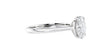 Oval Solitaire with Diamond Bridge Engagement Ring