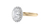 Oval Halo Plain Band Diamond Engagement Ring