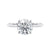 Natural diamond solitaire with a hidden halo white gold front view.