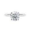 Two carat lab grown diamond solitaire with hidden halo white gold front view.